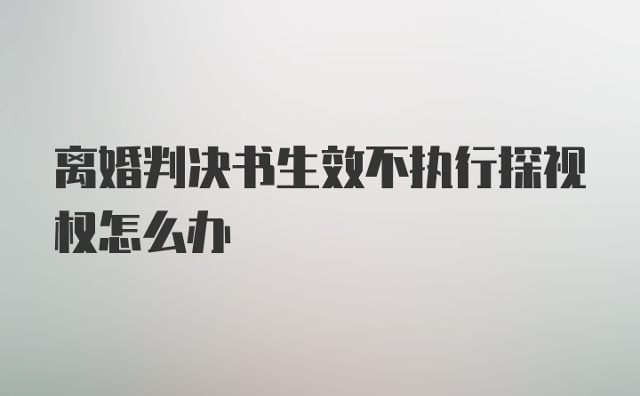 离婚判决书生效不执行探视权怎么办