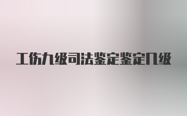 工伤九级司法鉴定鉴定几级