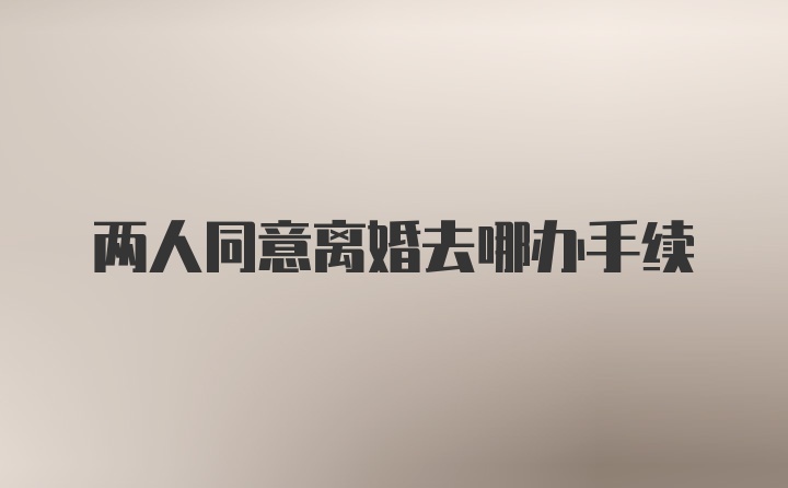 两人同意离婚去哪办手续