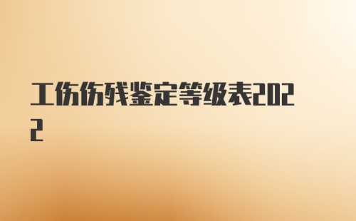 工伤伤残鉴定等级表2022