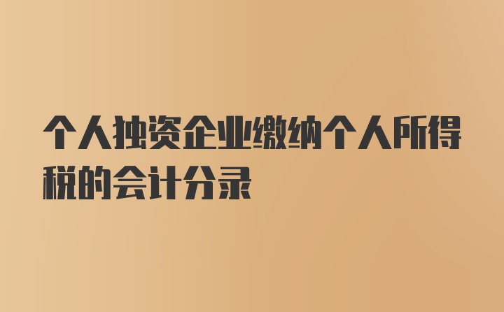 个人独资企业缴纳个人所得税的会计分录