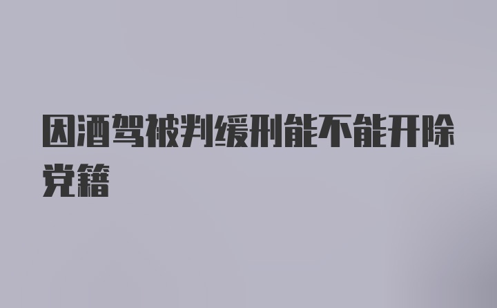 因酒驾被判缓刑能不能开除党籍