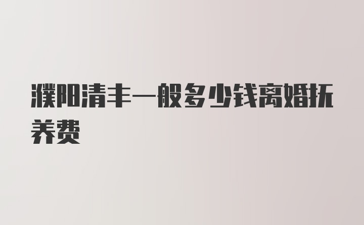 濮阳清丰一般多少钱离婚抚养费