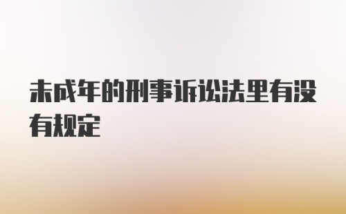 未成年的刑事诉讼法里有没有规定