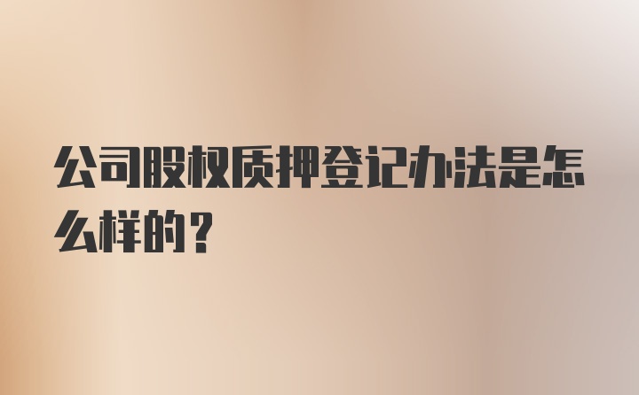 公司股权质押登记办法是怎么样的？