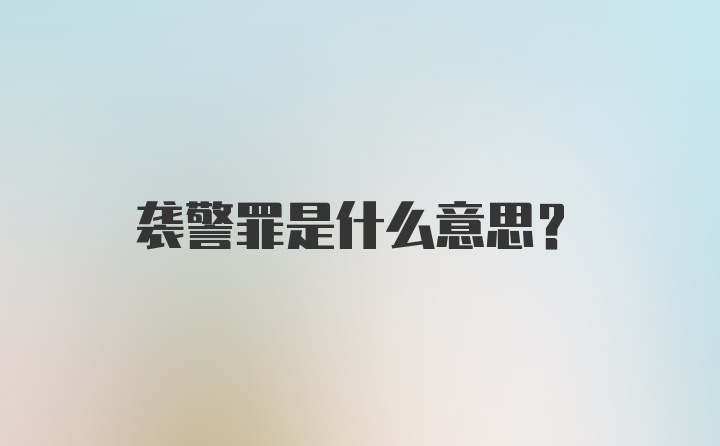 袭警罪是什么意思？