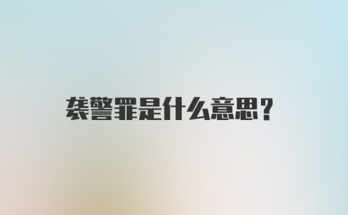 袭警罪是什么意思？