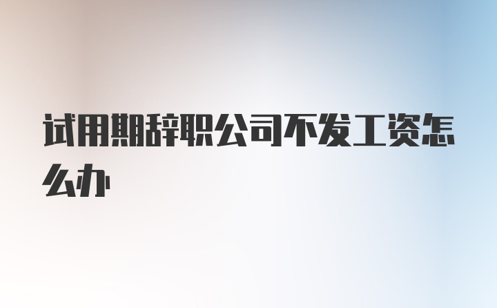 试用期辞职公司不发工资怎么办