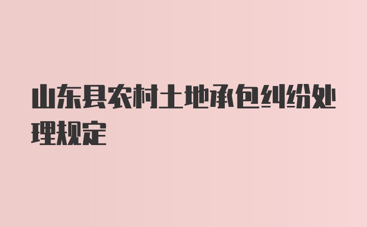 山东县农村土地承包纠纷处理规定