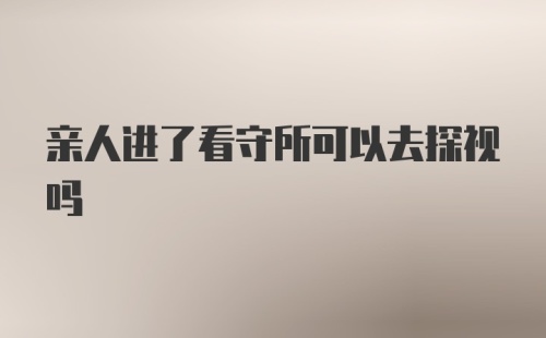 亲人进了看守所可以去探视吗