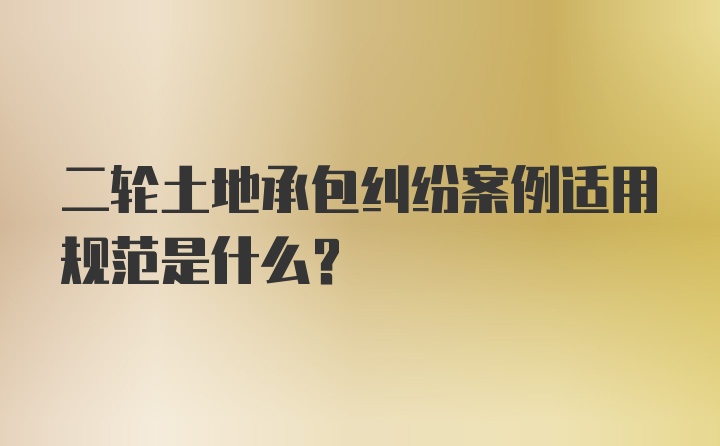 二轮土地承包纠纷案例适用规范是什么？