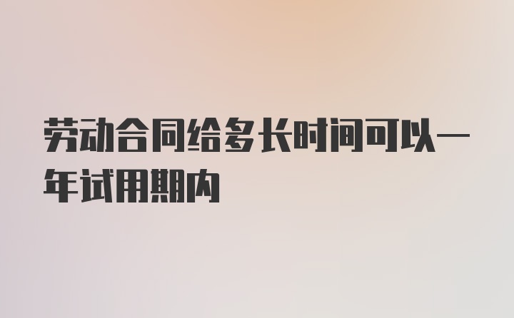 劳动合同给多长时间可以一年试用期内