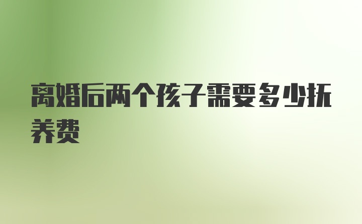 离婚后两个孩子需要多少抚养费