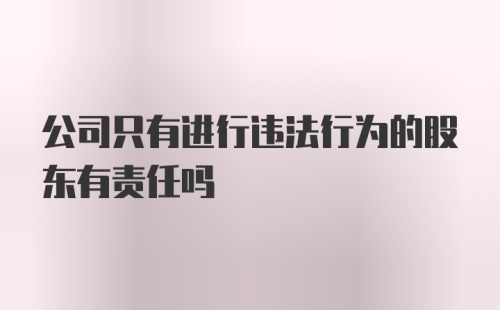 公司只有进行违法行为的股东有责任吗