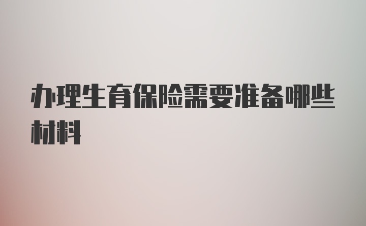 办理生育保险需要准备哪些材料