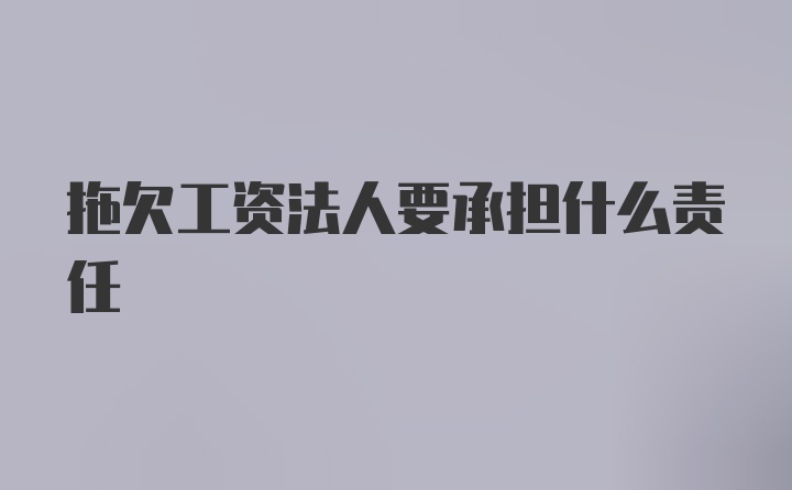 拖欠工资法人要承担什么责任