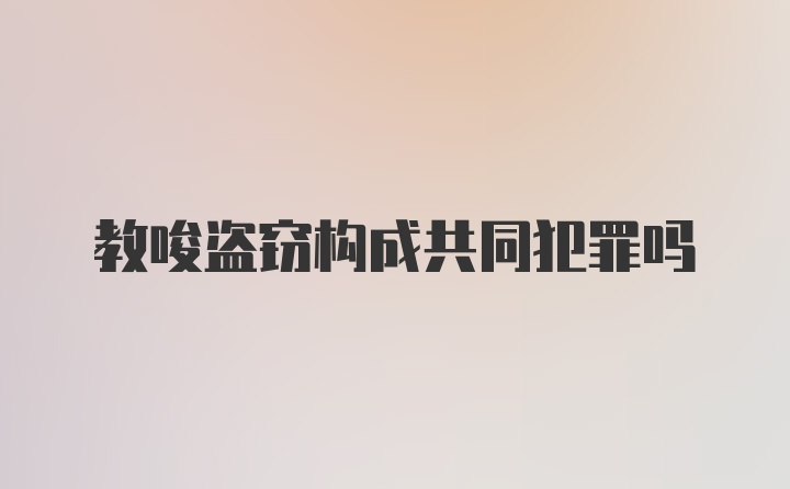 教唆盗窃构成共同犯罪吗