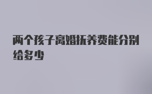 两个孩子离婚抚养费能分别给多少