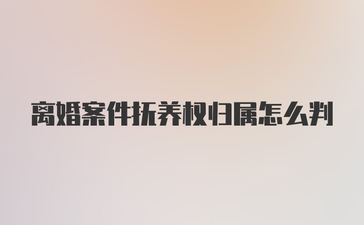 离婚案件抚养权归属怎么判