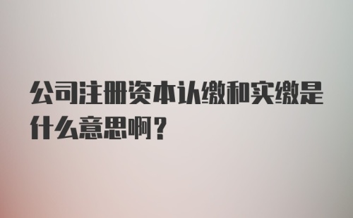 公司注册资本认缴和实缴是什么意思啊？