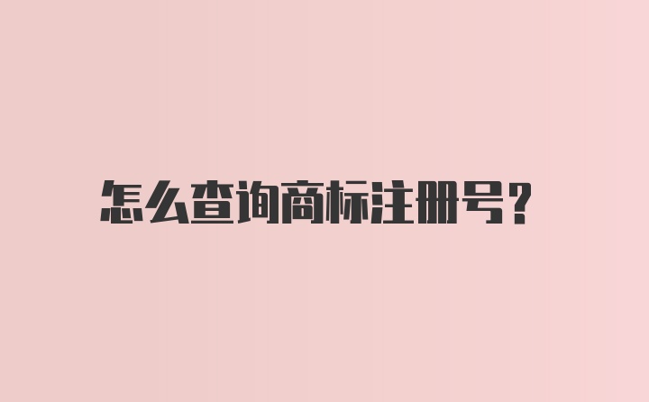 怎么查询商标注册号？