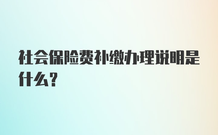 社会保险费补缴办理说明是什么？