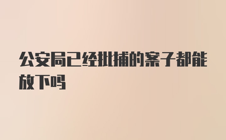 公安局已经批捕的案子都能放下吗