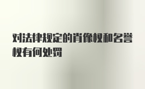 对法律规定的肖像权和名誉权有何处罚