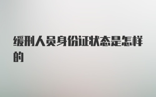 缓刑人员身份证状态是怎样的