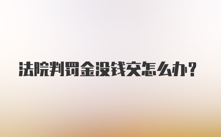 法院判罚金没钱交怎么办?