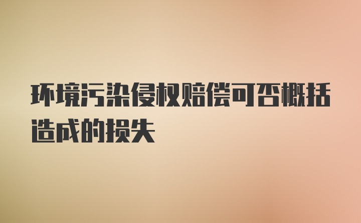 环境污染侵权赔偿可否概括造成的损失