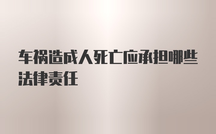 车祸造成人死亡应承担哪些法律责任