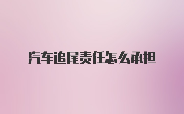 汽车追尾责任怎么承担