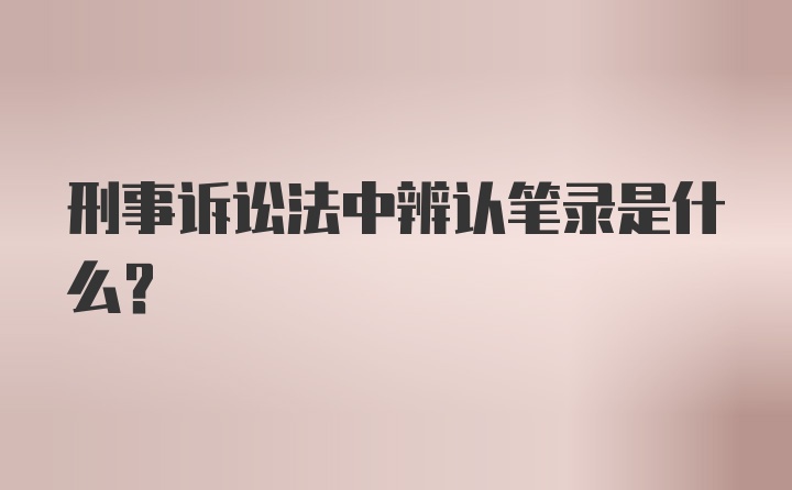 刑事诉讼法中辨认笔录是什么?