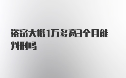 盗窃大概1万多高3个月能判刑吗