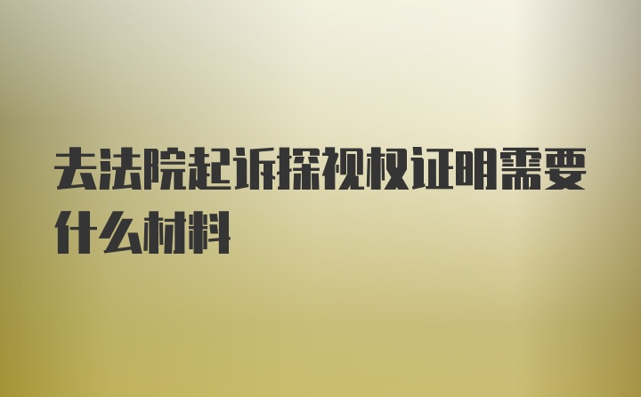 去法院起诉探视权证明需要什么材料