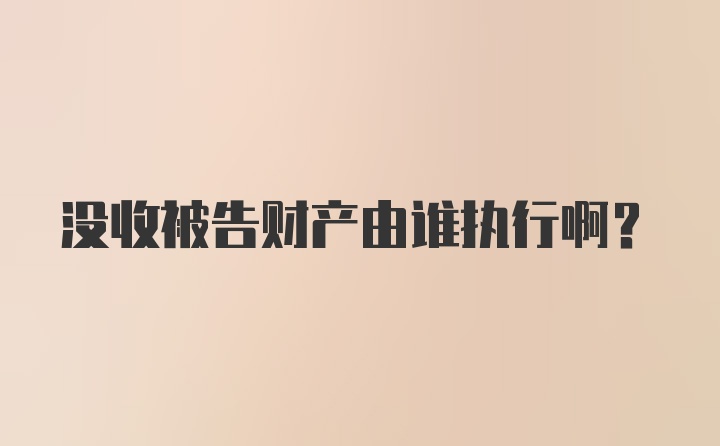 没收被告财产由谁执行啊？