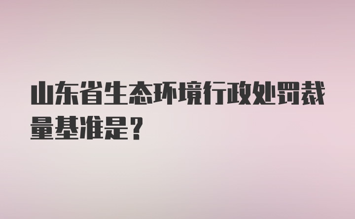 山东省生态环境行政处罚裁量基准是？