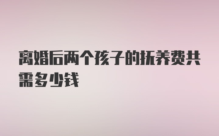 离婚后两个孩子的抚养费共需多少钱