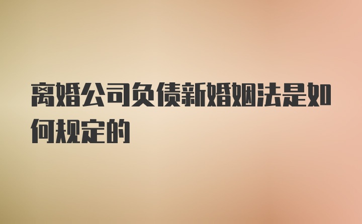 离婚公司负债新婚姻法是如何规定的