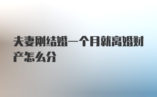 夫妻刚结婚一个月就离婚财产怎么分