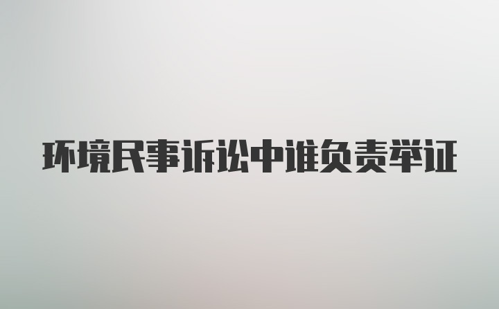 环境民事诉讼中谁负责举证