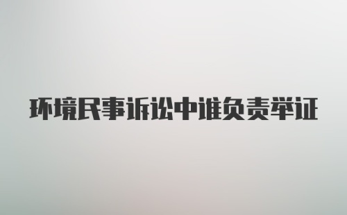 环境民事诉讼中谁负责举证