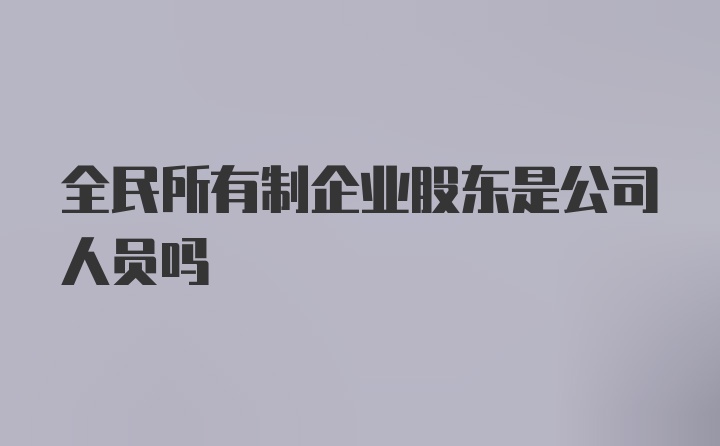 全民所有制企业股东是公司人员吗