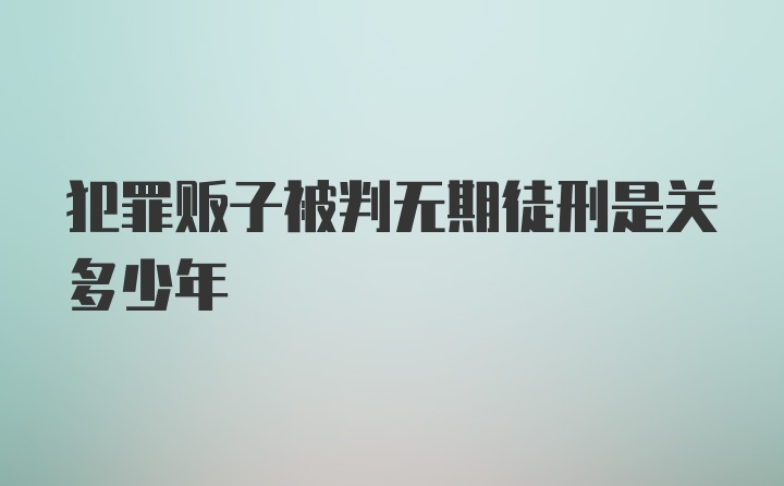 犯罪贩子被判无期徒刑是关多少年