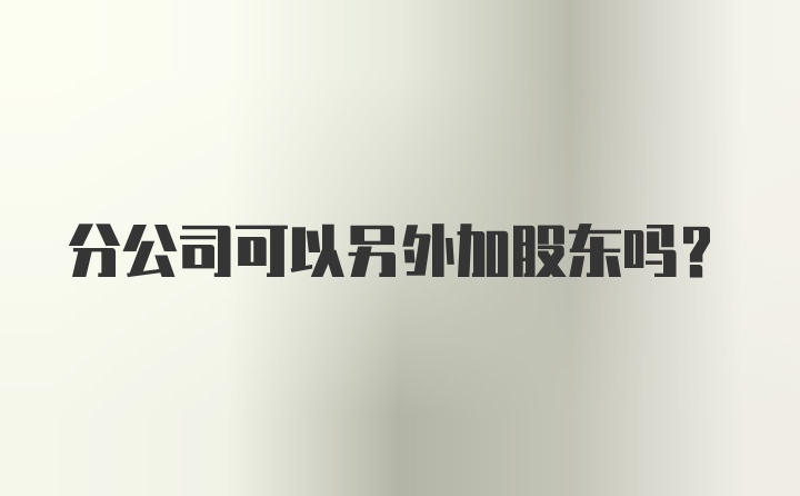 分公司可以另外加股东吗？