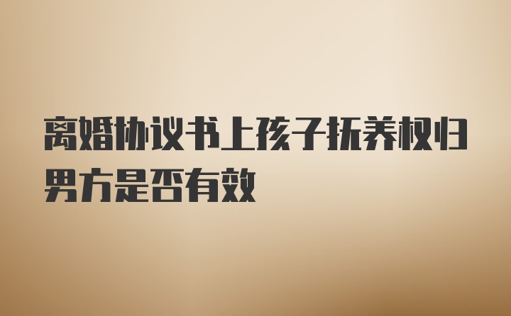 离婚协议书上孩子抚养权归男方是否有效