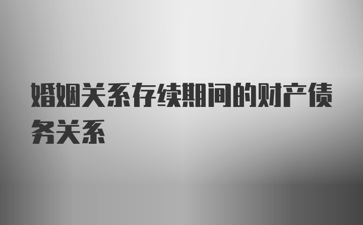 婚姻关系存续期间的财产债务关系