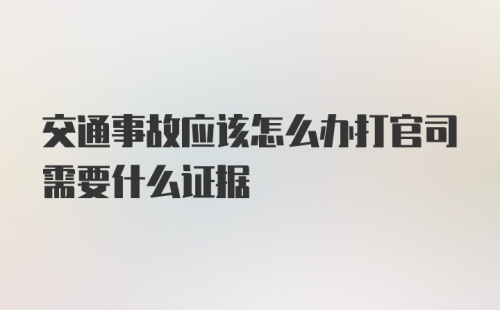 交通事故应该怎么办打官司需要什么证据