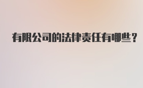 有限公司的法律责任有哪些？